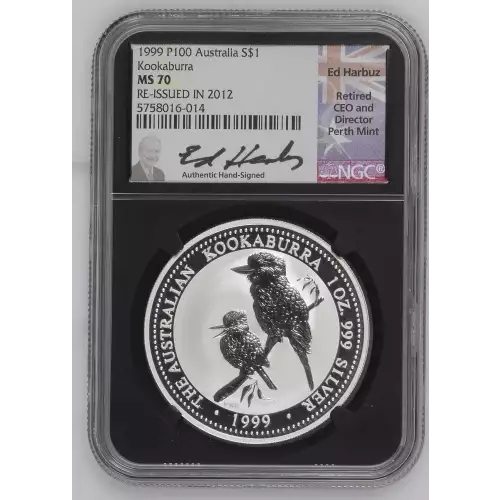 1999 P100 Kookaburra (2)
