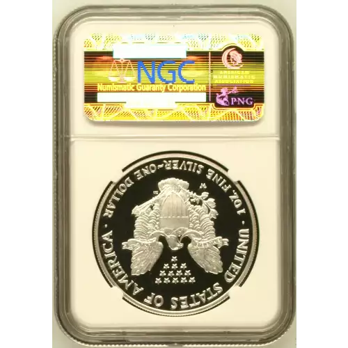 2007 W  ULTRA CAMEO (3)