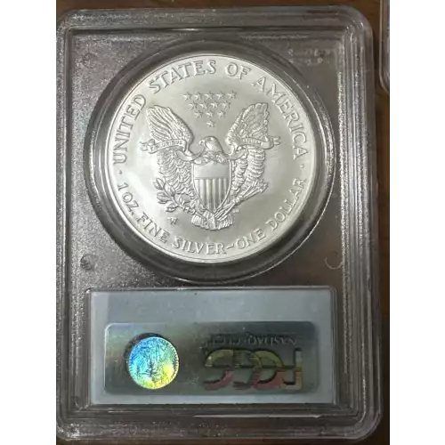2008-W $1 Burnished Silver Eagle Reverse of 2007 (2)