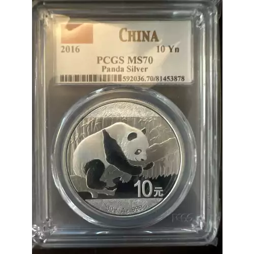 2016 10 Yn Panda Silver (2)