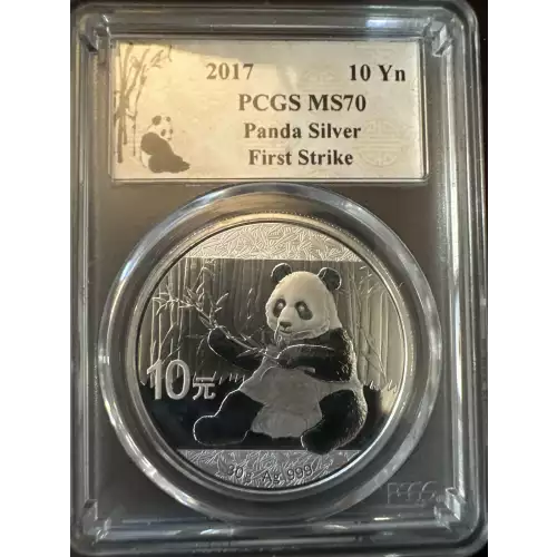 2017 10 Yn Panda Silver First Strike