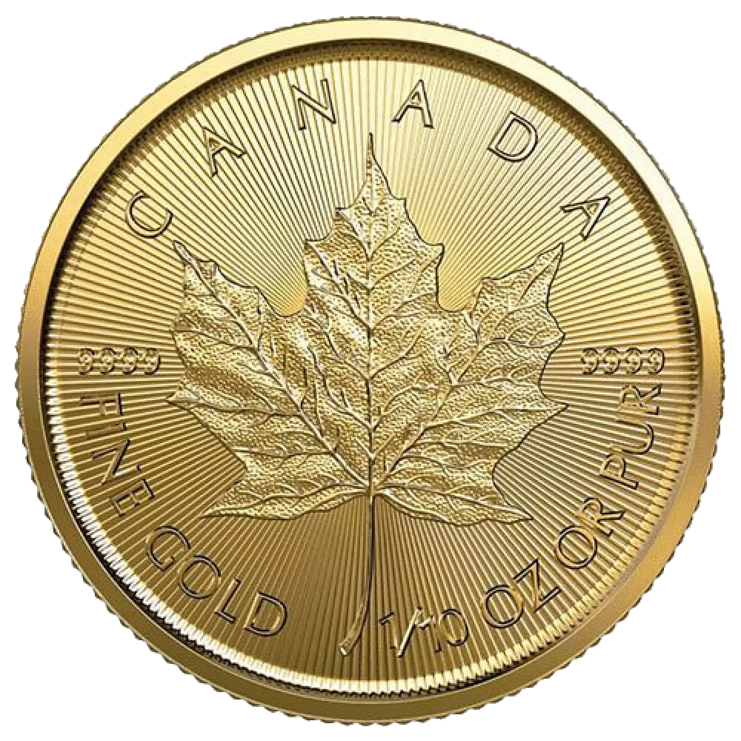 2024 1/10oz Canadian Gold Maple Leaf (3)