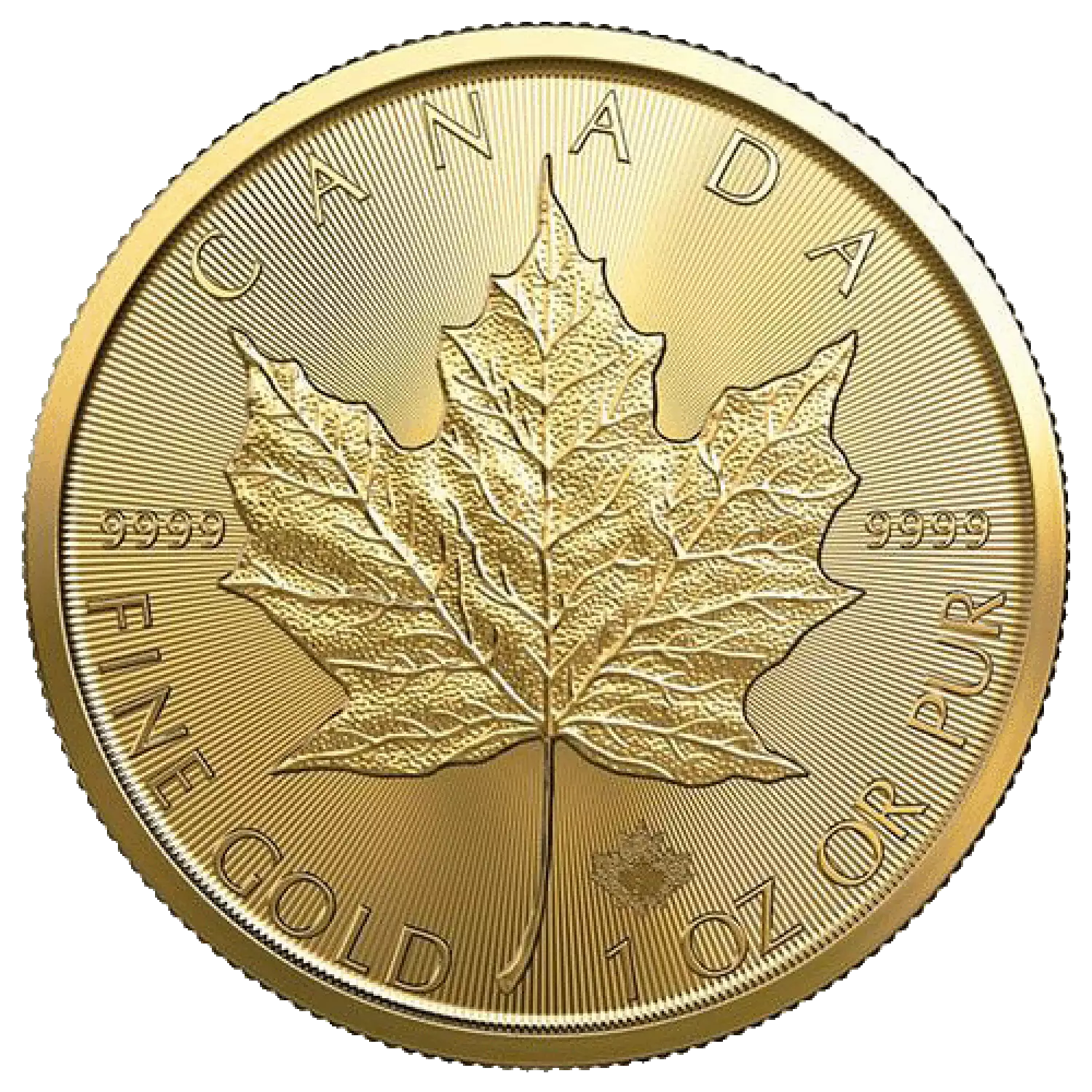 2024 1oz Canadian Gold Maple Leaf (3)