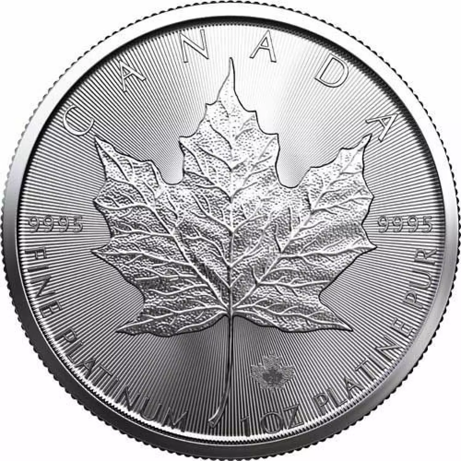 2024 1oz Canadian Platinum Maple Leaf (3)