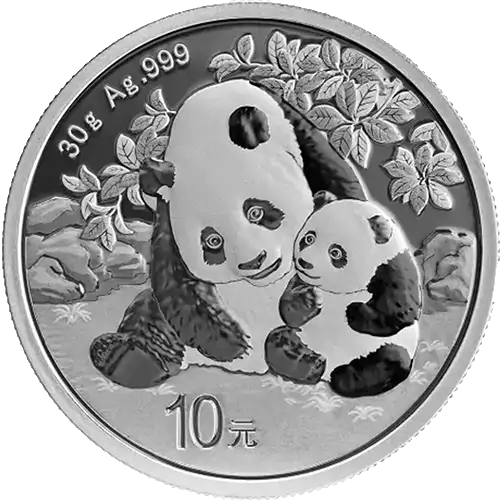 2024 30g Chinese Silver Panda (3)