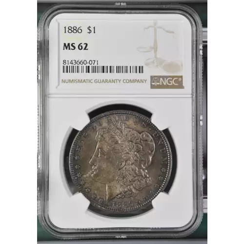 Morgan Silver Dollar (2)