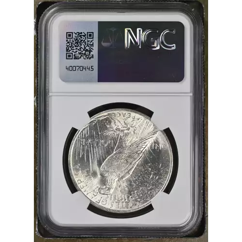 Peace Silver Dollar (3)