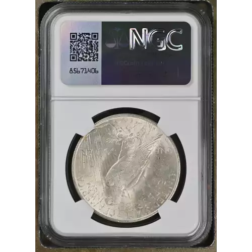 Peace Silver Dollar (3)