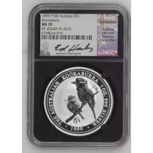 1999 P100 Kookaburra (2)